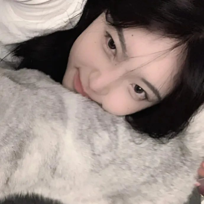 阁楼里的花